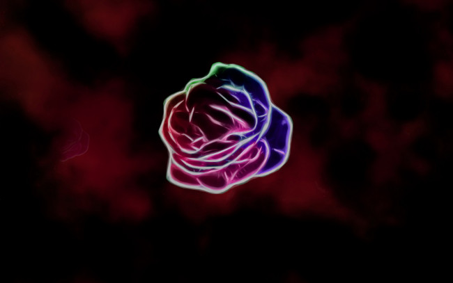 Обои картинки фото 3д, графика, flowers, цветы, фрактал, тёмный