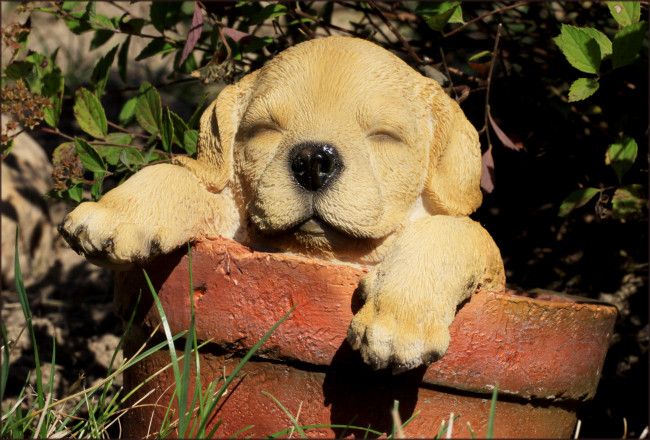 Обои картинки фото разное, рельефы, статуи, музейные, экспонаты, щенок