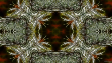 Картинка 3д графика fractal фракталы фон цвета узор