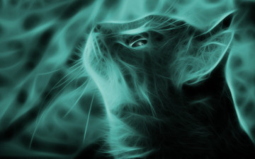 Картинка 3д графика animals животные кот