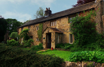 Картинка города здания дома плющ газон парк дом