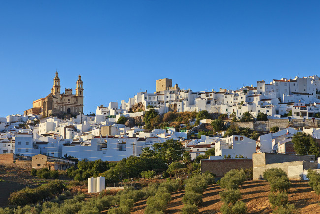 Обои картинки фото olvera, andalusia, spain, города, панорамы, ландшафт, сады, дома, испания