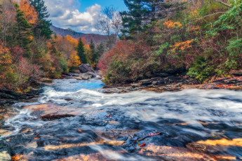 Картинка природа реки озера деревья осень река