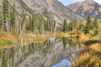 Картинка природа реки озера горы лес река