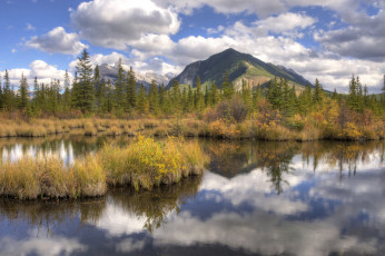 Картинка природа реки озера река лес горы