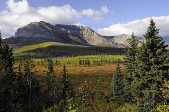 Картинка природа горы лес