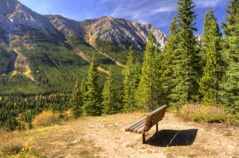 Картинка природа горы лес река