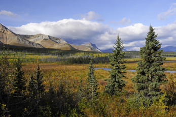 Картинка природа пейзажи горы лес