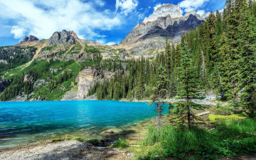 Картинка природа реки озера озеро облака канада деревья камни горы yoho national park скалы