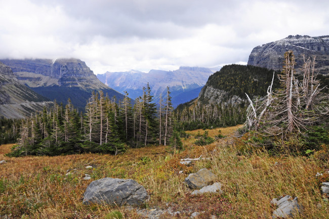 Обои картинки фото природа, горы, лес