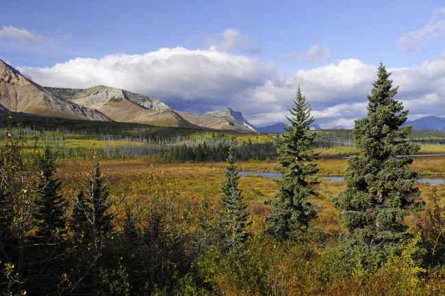 Обои картинки фото природа, пейзажи, горы, лес