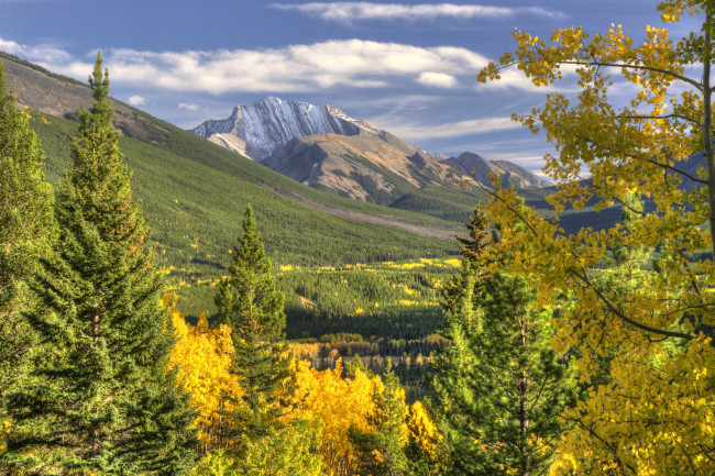 Обои картинки фото природа, горы, лес