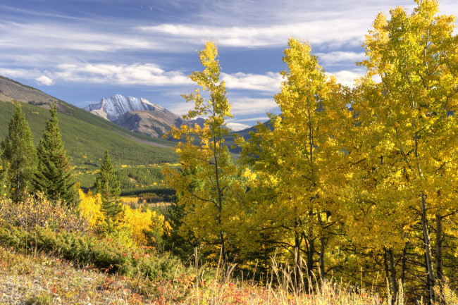 Обои картинки фото природа, пейзажи, лес, горы