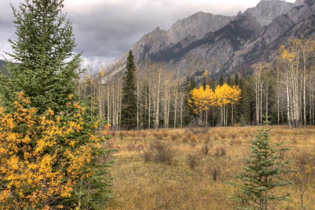 Обои картинки фото природа, пейзажи, лес, горы