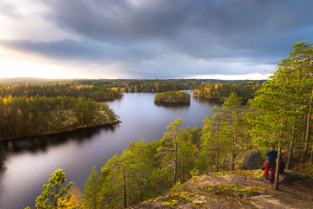Картинка природа реки озера река деревья лес