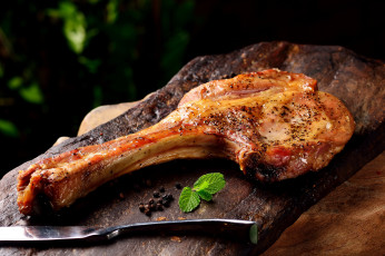 Картинка еда мясные+блюда мята мясо