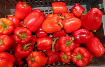 Картинка перец еда