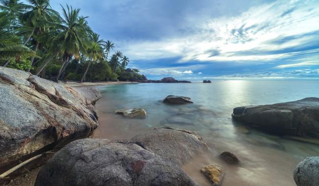 Обои картинки фото природа, тропики, пляж, пальмы, лето, море