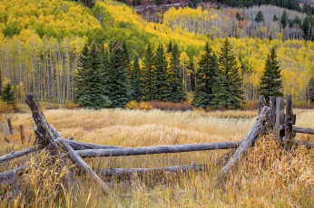 Картинка природа пейзажи простор