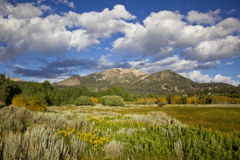 Картинка природа пейзажи простор