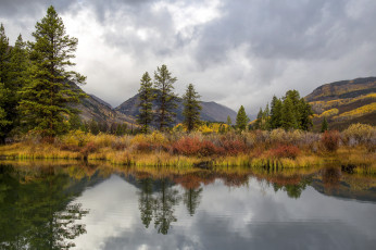 Картинка природа реки озера простор