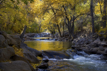 Картинка природа реки озера простор