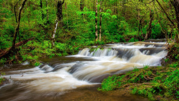 Картинка природа реки озера река лес