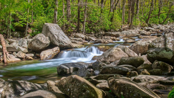 Картинка природа реки озера река лес