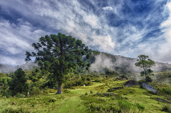 Обои картинки фото природа, пейзажи, простор