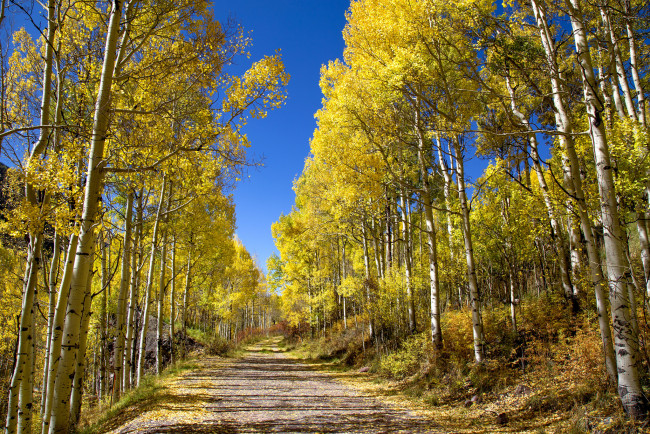 Обои картинки фото природа, дороги, простор