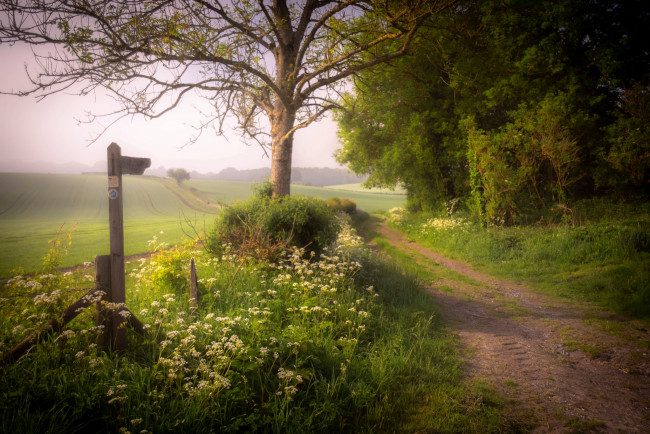 Обои картинки фото природа, дороги, простор