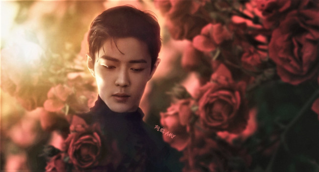 Обои картинки фото рисованное, люди, сяо, джань, лицо, розы, цветы