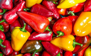 Картинка еда перец болгарский разноцветные стручки