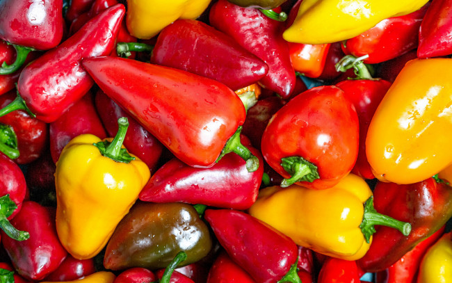 Обои картинки фото еда, перец, болгарский, разноцветные, стручки