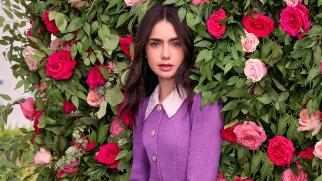 Обои картинки фото девушки, lily collins, актриса, шатенка, жакет, кусты, розы