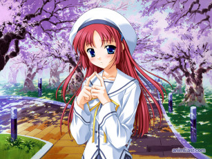 Картинка аниме da capo