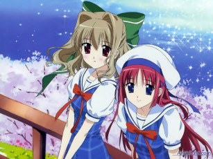 Картинка аниме da capo