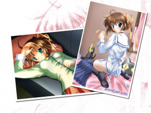 Картинка аниме da capo