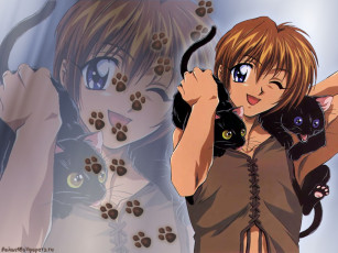 Картинка аниме weiss kreuz