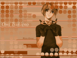 Картинка аниме weiss kreuz