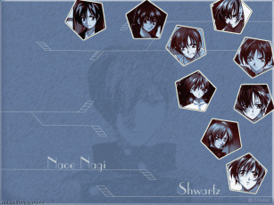 Картинка аниме weiss kreuz