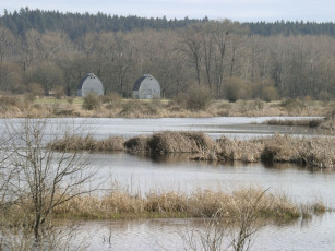 Картинка природа