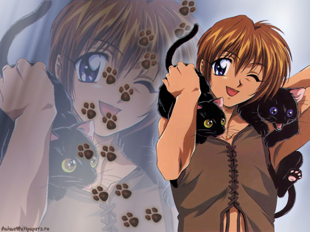 Обои картинки фото аниме, weiss, kreuz