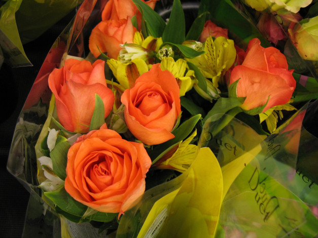 Обои картинки фото цветы, разные, вместе