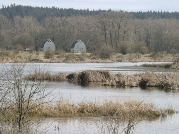 Обои картинки фото природа