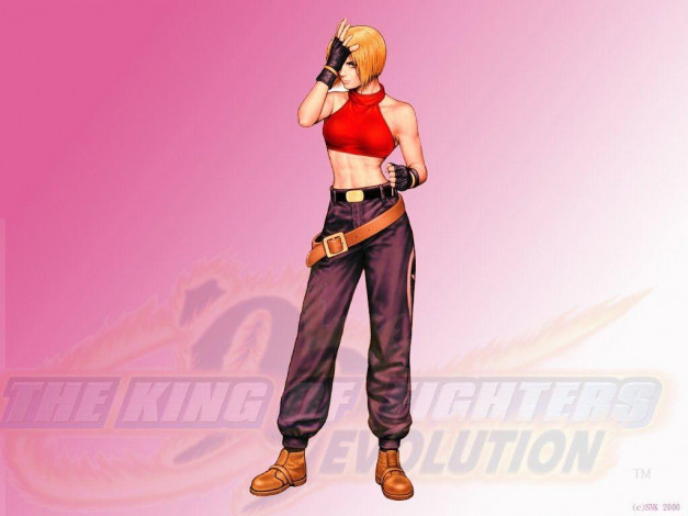 Обои картинки фото the, king, of, fighters, evolution, видео, игры