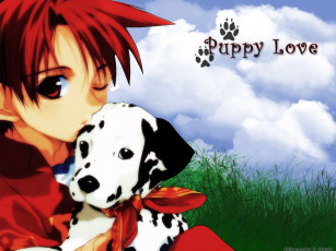 обоя аниме, angel