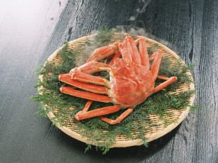 Картинка еда рыба морепродукты суши роллы