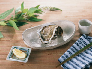 Картинка еда рыба морепродукты суши роллы