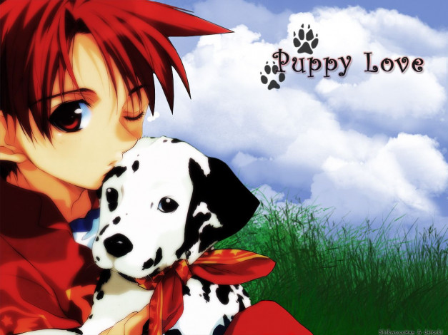 Обои картинки фото аниме, angel